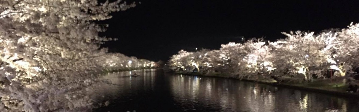 夜桜探偵団が案内する弘前公園！DEEPな夜は気付きの宝庫！